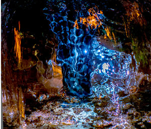 Close-up of illuminated tree at night