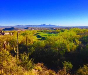 Scenic view of field against clear blue sky