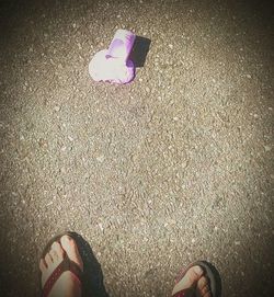 High angle view of woman standing on road