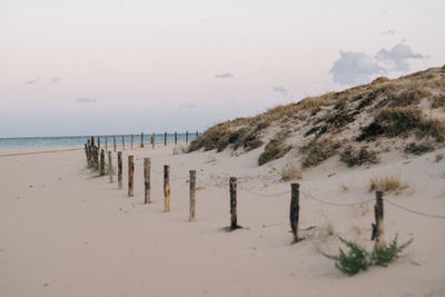 Wooden posts on beach against sky