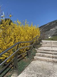 Yellow staircase by footpath against clear sky