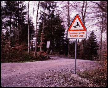 Information sign on road amidst trees in forest