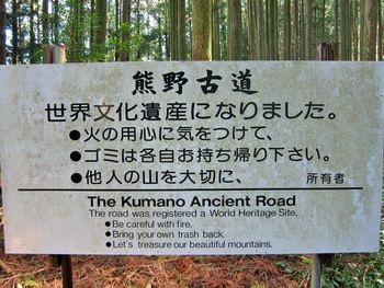 Information sign on tree trunk