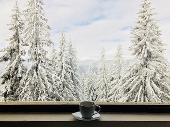 Cup with spoon placed on plate near a window through which you can see forest of evergreen trees