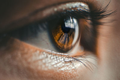 Extreme close-up of human eye