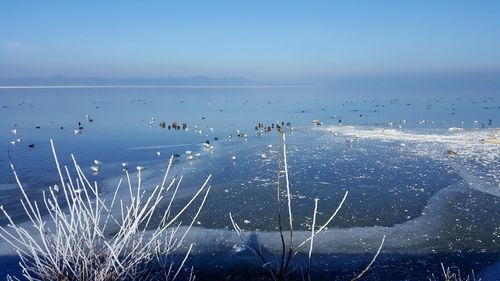 Scenic view of sea against blue sky