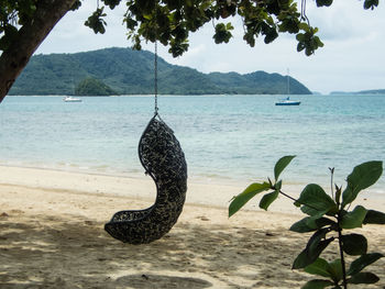 Close-up of snake on sea against sky