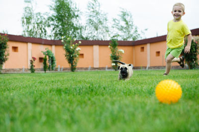 Man with dog and ball on grass