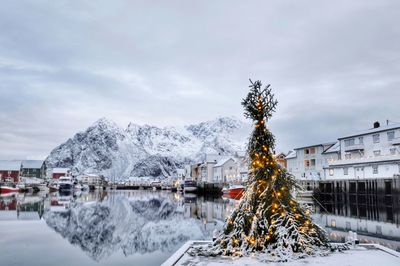 Trees on snowcapped mountains against sky during winter