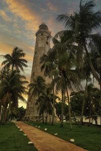 Palm trees and buildings against sky during sunset