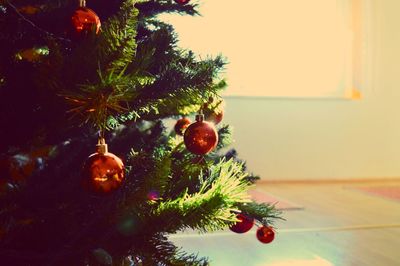 Christmas tree at home