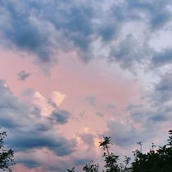 Low angle view of silhouette trees against sky during sunset