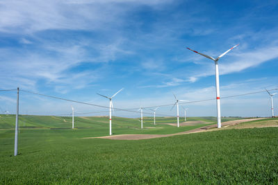 environmental conservation