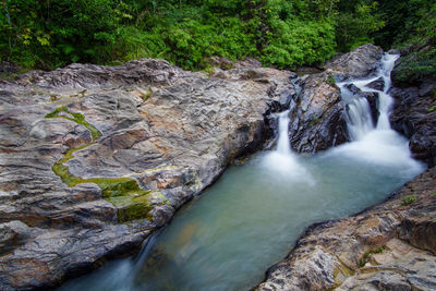 Scenic view of waterfall in forest