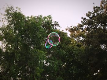 Low angle view of bubble in park against sky