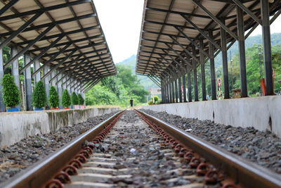 Surface level of railroad tracks along plants