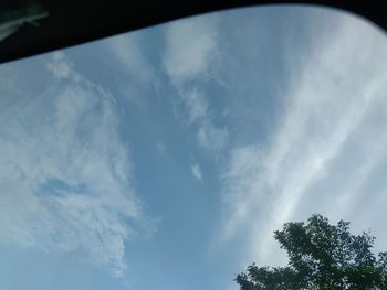 Low angle view of trees against blue sky