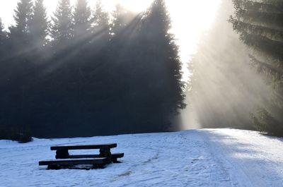 Empty bench on snow covered land during winter