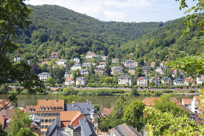 High angle view of townscape and trees in town