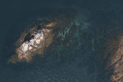 High angle view of rock formation in sea