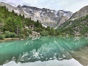 Green water lake high up in italian mountains. südtirol.