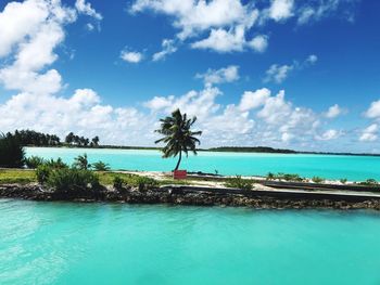 Palm trees by swimming pool against sky