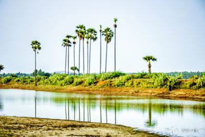 Scenic view of lake against clear sky