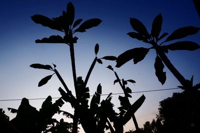 Low angle view of silhouette plant against sky at sunset