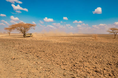 A tourist safari jeep amidst acacia trees driving at chalbi desert in marsabit county, kenya