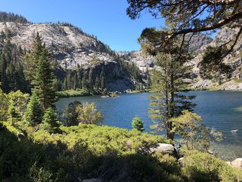 Scenic view of lake in forest against sky