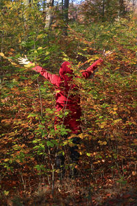 High angle view of woman standing by tree in forest