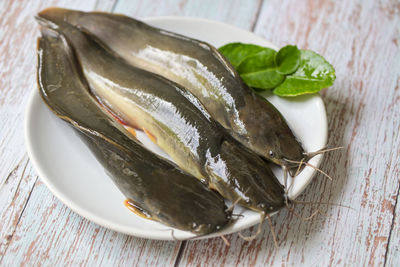 High angle view of fish on table