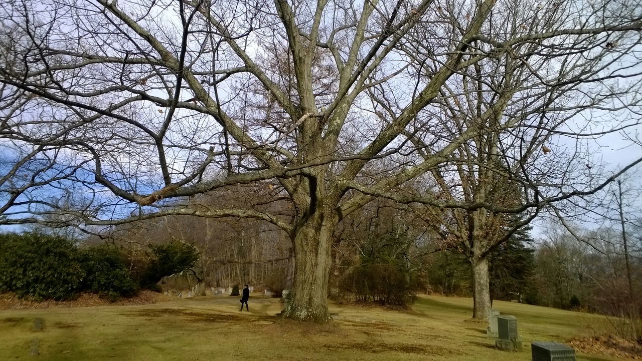 Wildwood Cemetery