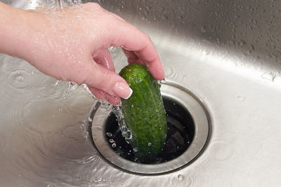 High angle view of person preparing food in water