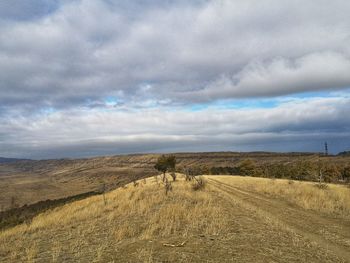 Scenic view of landscape against sky