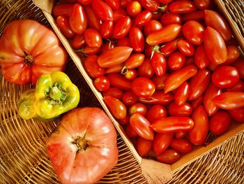 High angle view of tomatoes in basket