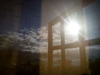 Sun shining through trees