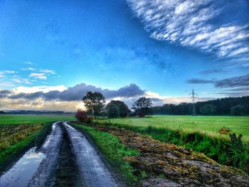 Surface level of wet road on grassy field against sky