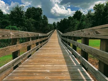 Wooden footbridge along plants and trees