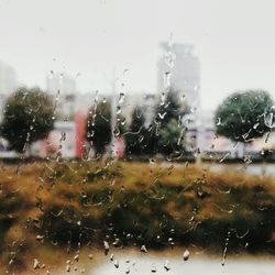 View of rain drops on glass