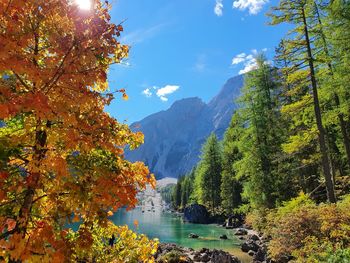 Scenic view of river amidst trees against sky during autumn