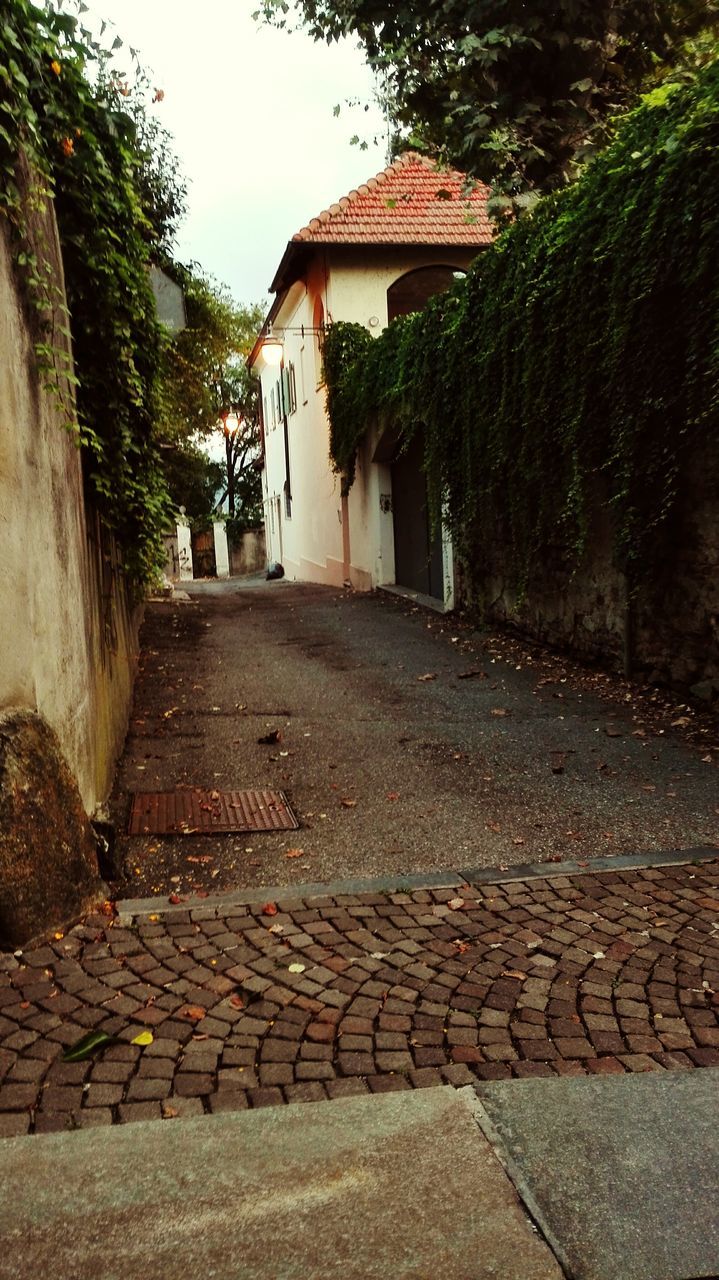 architecture, building exterior, built structure, the way forward, cobblestone, house, walkway, street, paving stone, footpath, residential structure, pathway, diminishing perspective, residential building, steps, narrow, wall - building feature, alley, stone wall, town