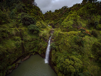 Scenic view of waterfall in forest