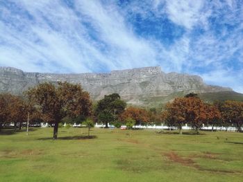 Trees on field against sky