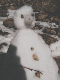 Close-up of toy in snow