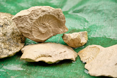 Close-up of rocks on table