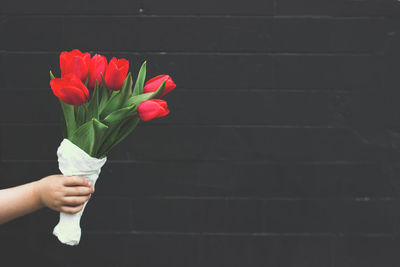 Close-up of hand holding red flower