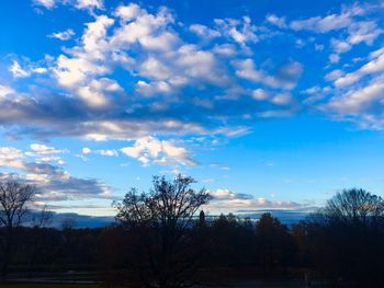 Silhouette trees on field against sky at sunset