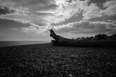 Statue on beach against sky