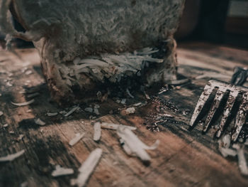 High angle view of wood on table